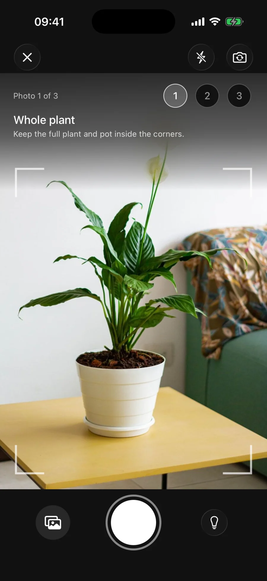 Plant Rescue on mobile, screen 4